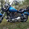 jessegray28341